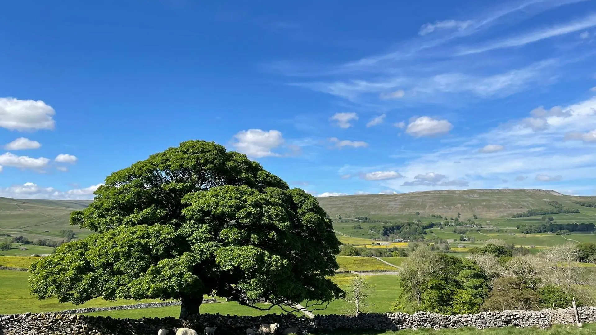Heart Of Hawes Holiday Cottage Holiday home